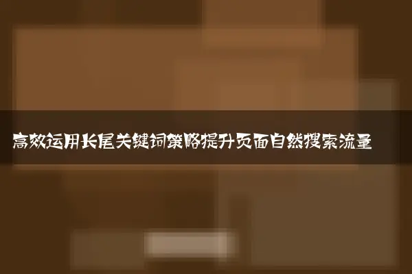 高效运用长尾关键词策略提升页面自然搜索流量