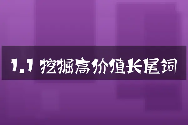 1.1 挖掘高价值长尾词